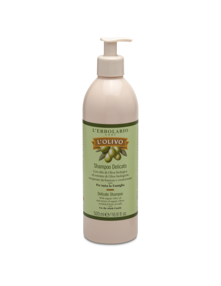 Delikates Shampoo mit Olive