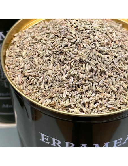 Fenchel Samen - 50/100 g